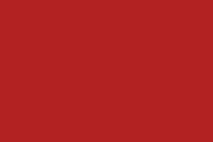 Photo of Tomato Soup